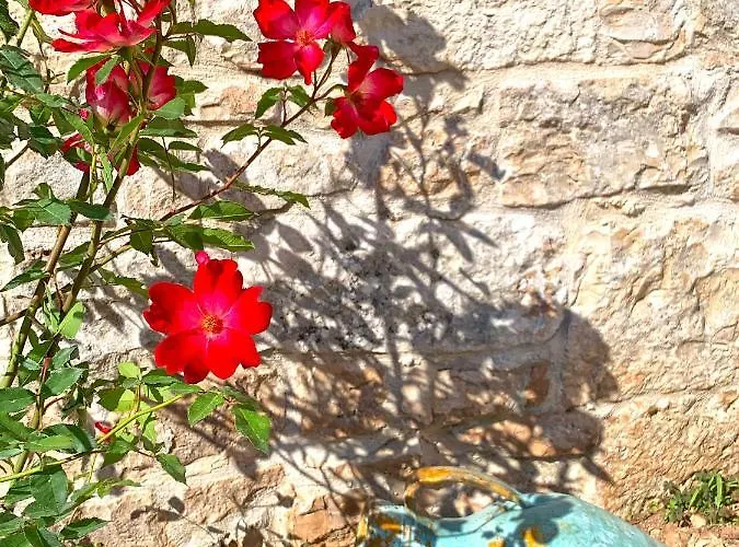 Trullo Aprico * Alberobello