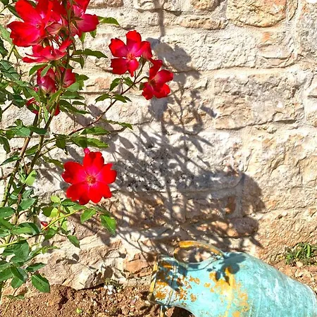 Trullo Aprico * Alberobello